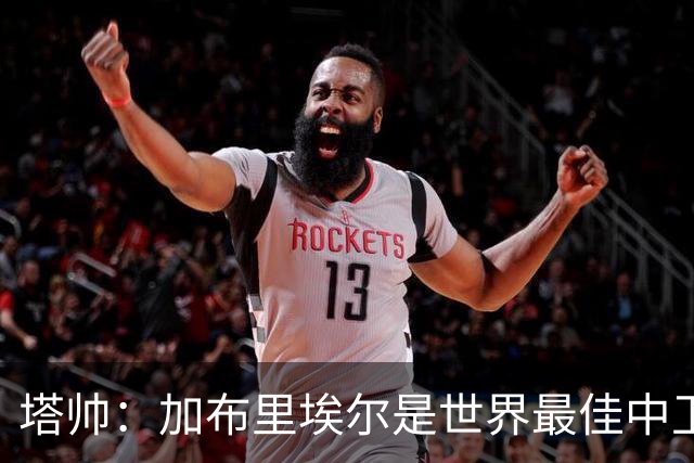 塔帅：加布里埃尔是世界最佳中卫之一，他在两个禁区的作用太强了